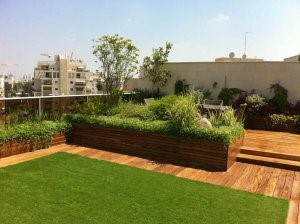 Read more about the article דק סינטטי ודשא סינטטי | כמה טיפים לבחירה המושלמת