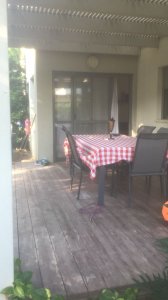 מזיקים וחיות בדק