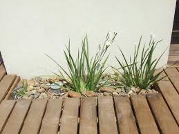 מדידת דק מדויקת