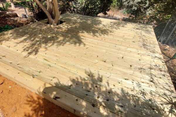 דק ארן מחיר